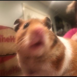 Meet your Posher, Kenia